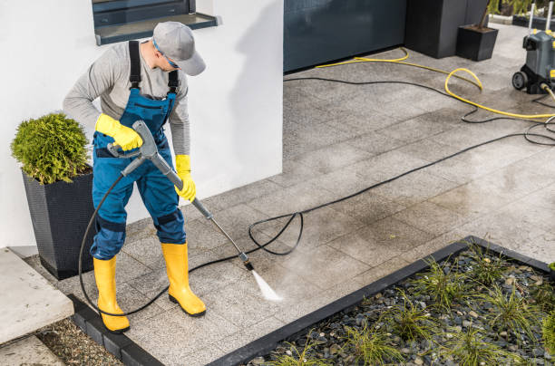 Best Local Pressure Washing Services  in Taos, NM